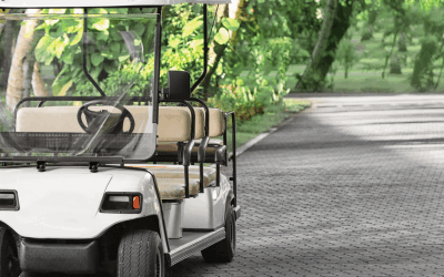 The 10 Best Luxury Golf Tours in Auckland